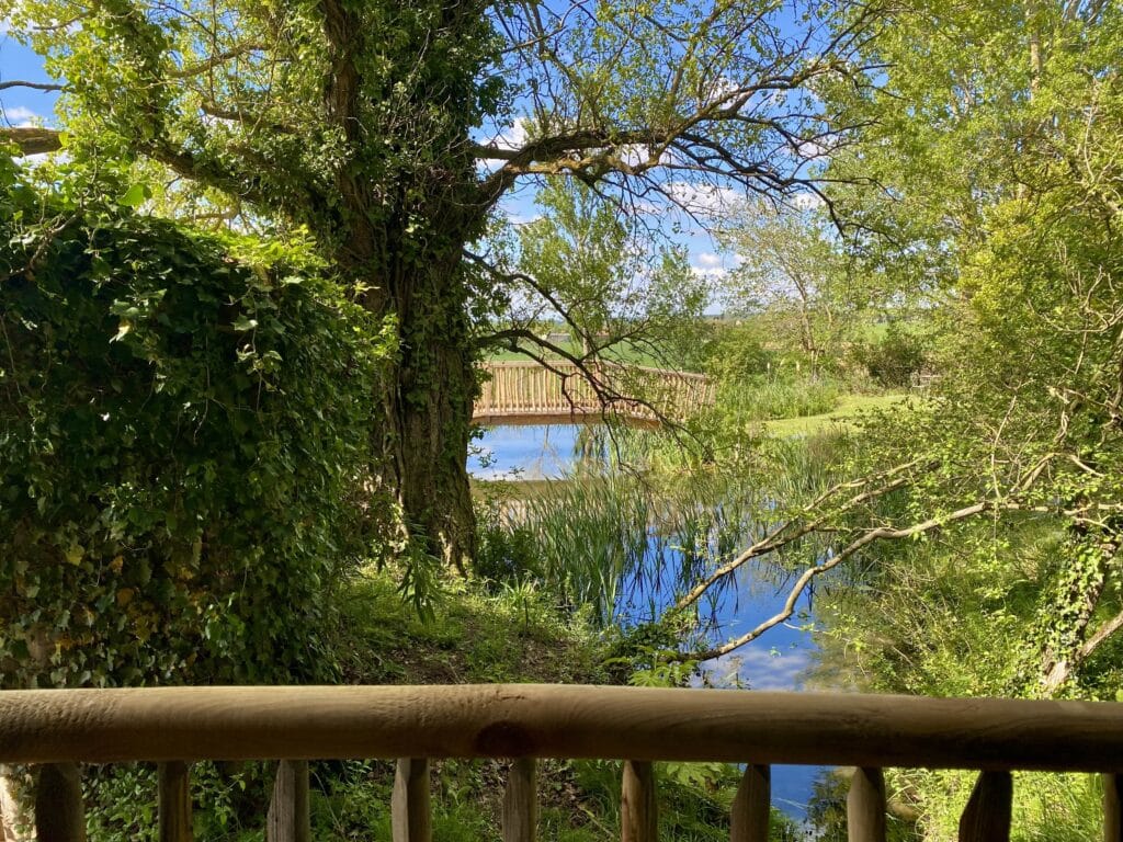 Pont au dessus de la mare dans un cadre paisible au coeur de la nature