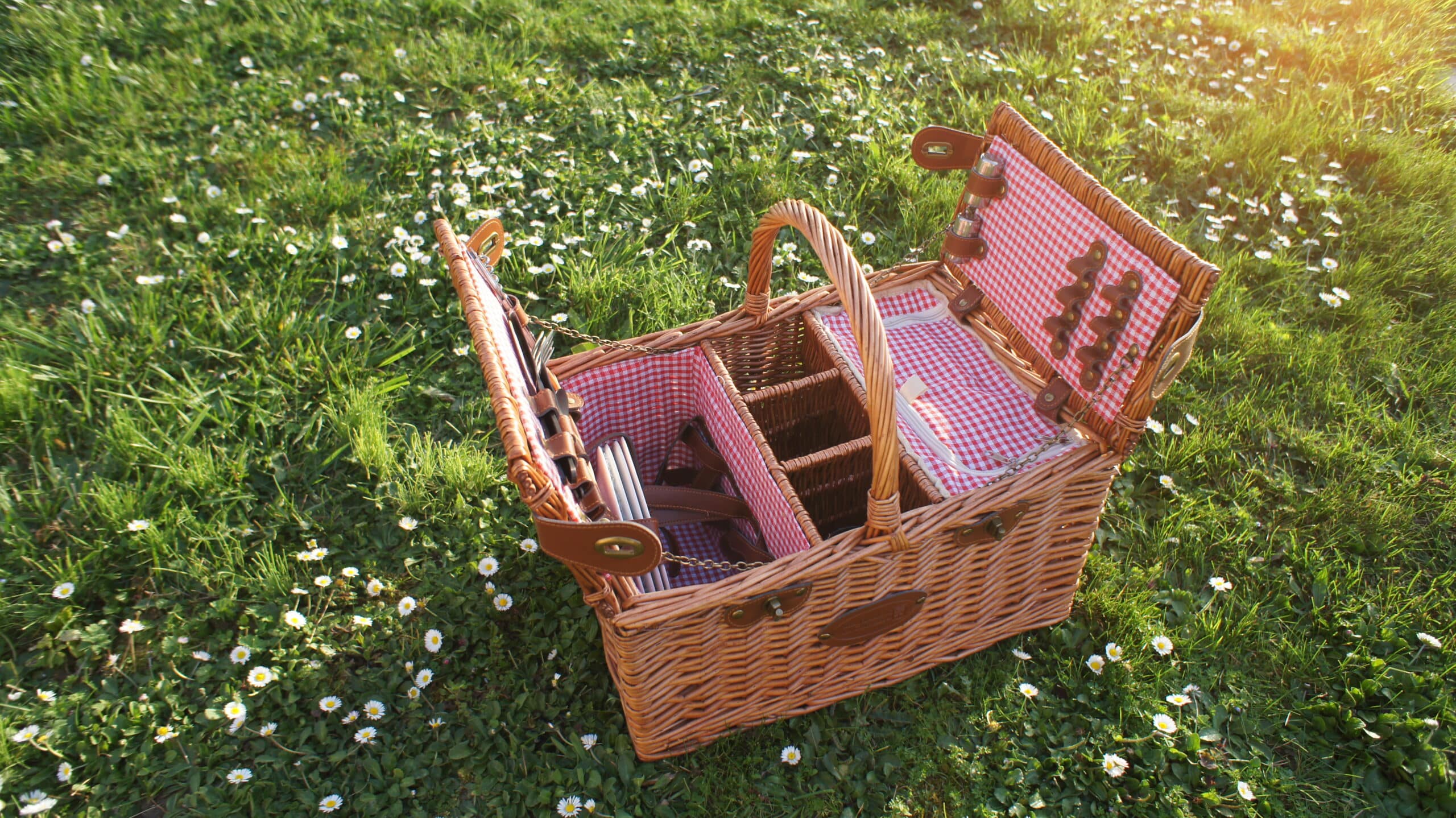 Panier repas