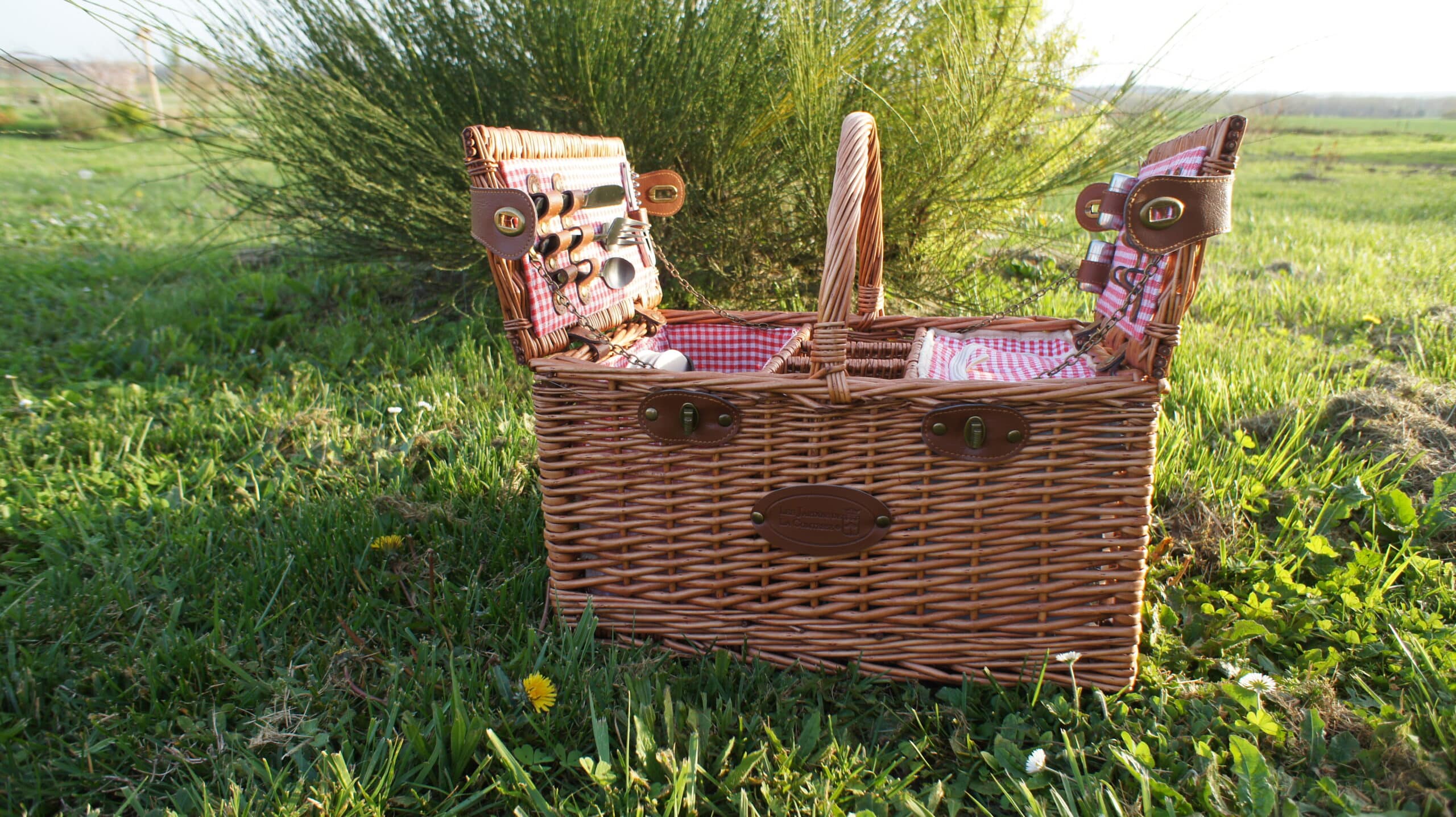 Panier repas